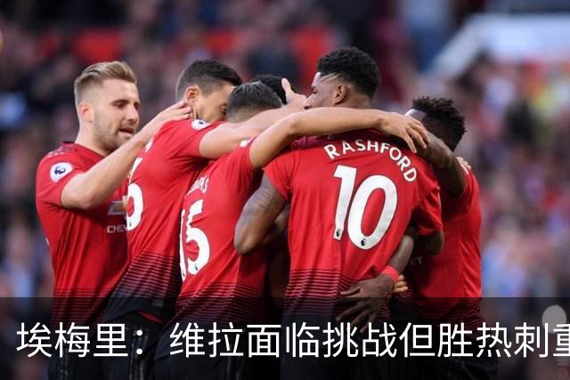 埃梅里：维拉面临挑战但胜热刺重燃信心