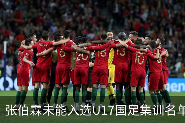 张伯霖未能入选U17国足集训名单，遗憾引发关注