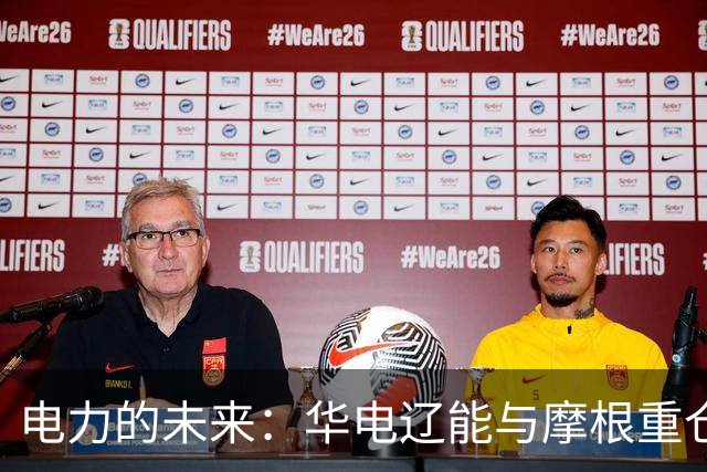 电力的未来：华电辽能与摩根重仓电力股盘点